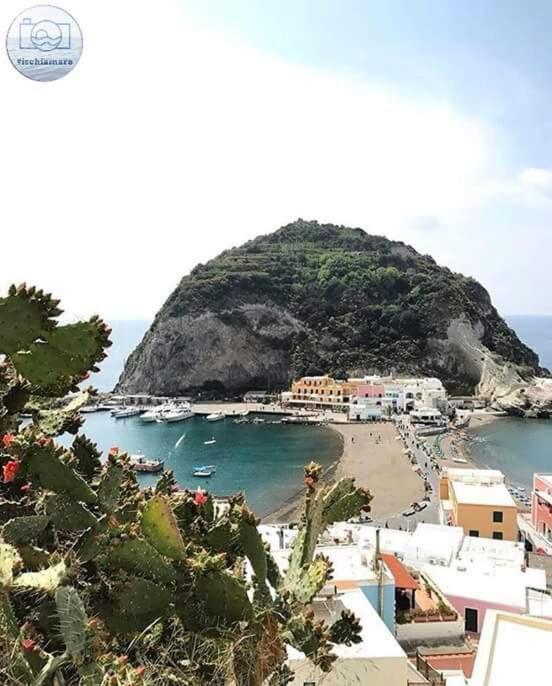 Villa Paradiso Sant'Angelo  외부 사진
