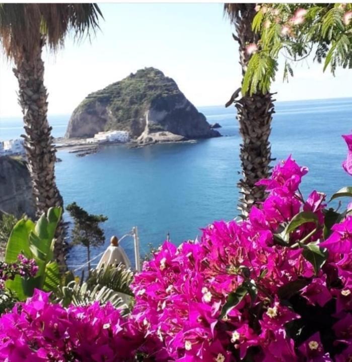 Villa Paradiso Sant'Angelo  외부 사진